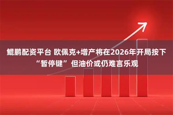 鲲鹏配资平台 欧佩克+增产将在2026年开局按下“暂停键” 但油价或仍难言乐观