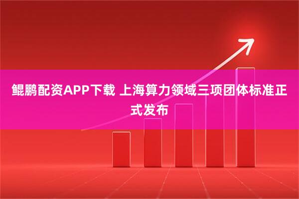 鲲鹏配资APP下载 上海算力领域三项团体标准正式发布